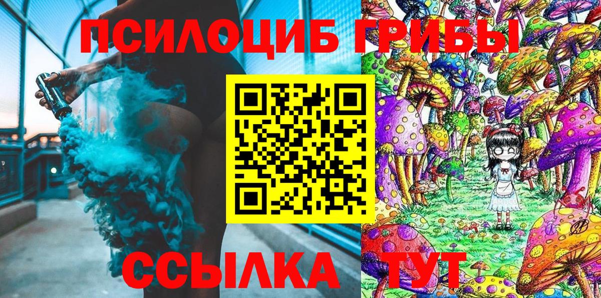 Галлюциногенные грибы Cubensis Саратов