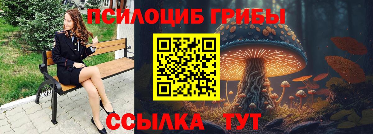 Псилоцибиновые грибы мицелий  Псилоцибиновые грибы Cubensis  Вход с VPN  Саратов 